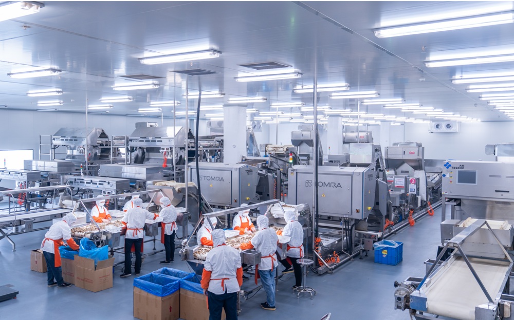 mushroom processing factory..jpg